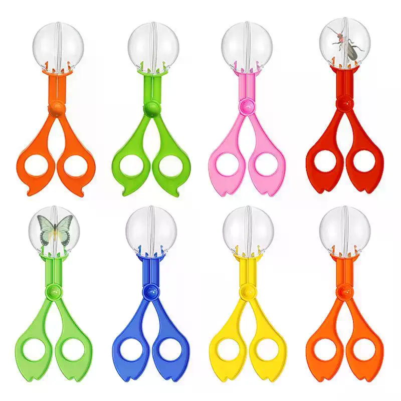 ชุดกรรไกรจับแมลงเพื่อการศึกษาส - Outdoor Camping Activities For Kids บทวิจารณ์และราคา